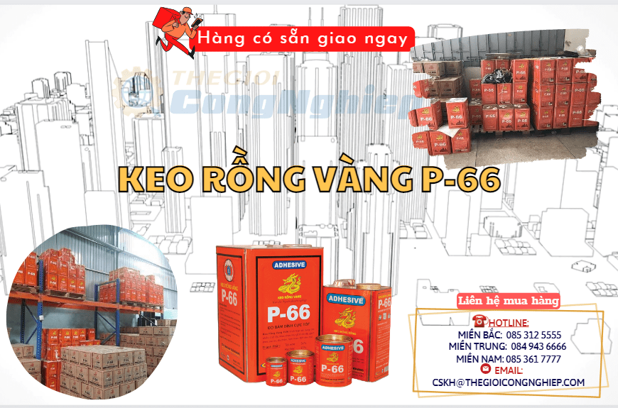 Mua keo rồng vàng P 66