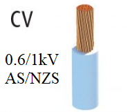 Dây điện CV